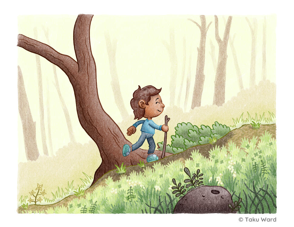 illustration 3