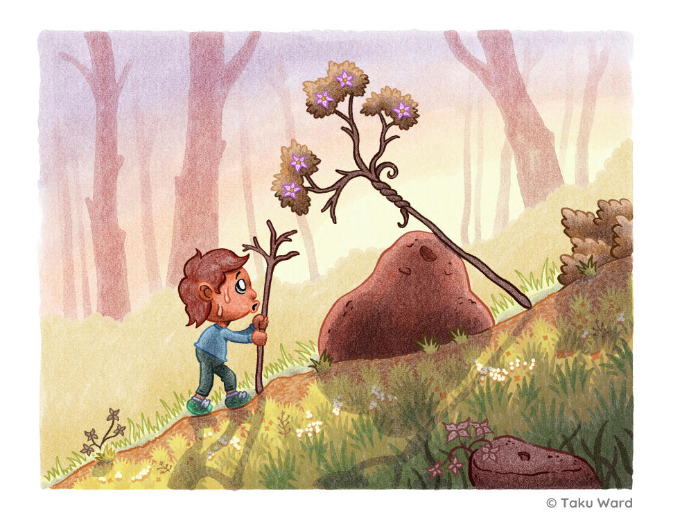 illustration 5
