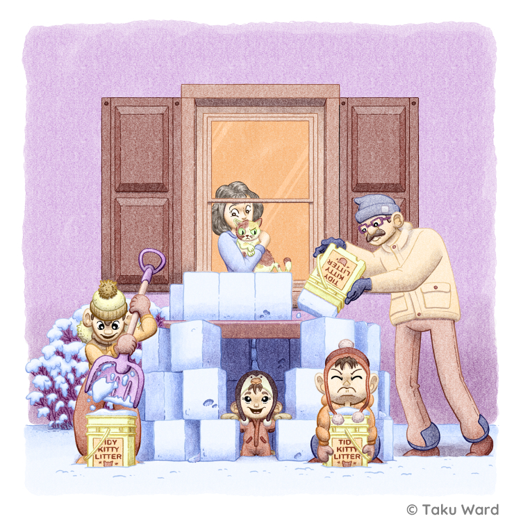 The Kitty Litter Igloo